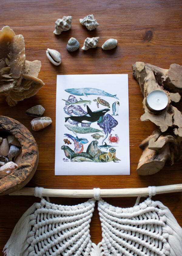 Illustration of Ocean Animals_