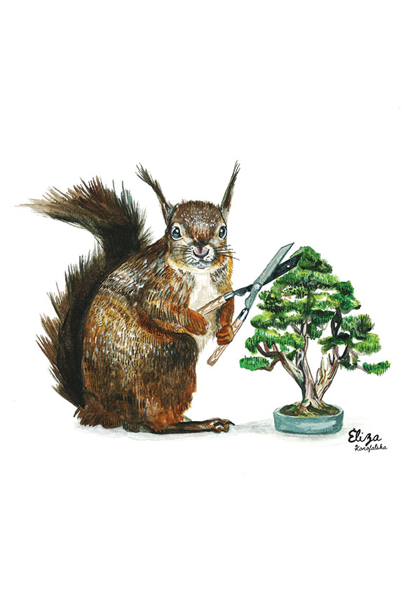 Squirrel Gardener
